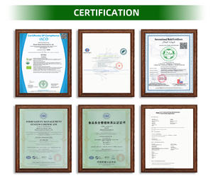 传统名优东方美妆乌龙茶 - Product Image 6