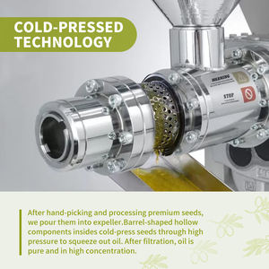 <span class=keywords><strong>Huile</strong></span> <span class=keywords><strong>d</strong></span>'<span class=keywords><strong>olive</strong></span> marocaine extra vierge <span class=keywords><strong>pour</strong></span> cheveux, <span class=keywords><strong>peau</strong></span> et <span class=keywords><strong>visage</strong></span> - 100% pure, naturelle, pressée à froid, <span class=keywords><strong>huile</strong></span> de base non-OGM |   OEM, 500mL - Product Image 3