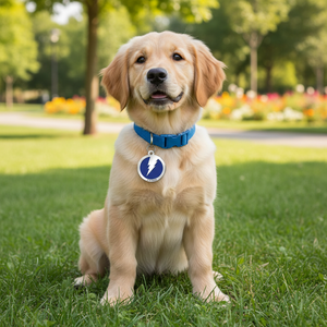 Targhetta identificativa rotonda con design a fulmine blu per cani e gatti - Product Image 3