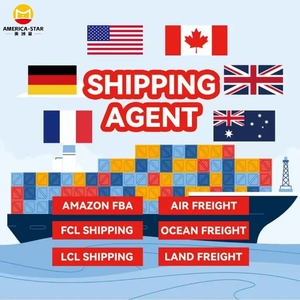 Top 10 Transportadoras Internacionais de Frete Aéreo de Xangai para EUA e Canadá, Melhor Empresa de Dropshipping FBA com Tarifas Acessíveis - Product Image 4