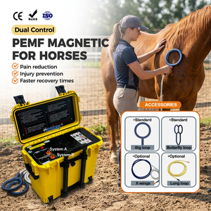 Dispositivo de Terapia Magnética Pemf con Certificación CE, Relaja los Músculos Tensados, Dispositivo PEMF de Doble Canal para Animales, para Centros de Rehabilitación Animal - Product Image 1