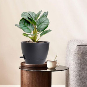 Ensemble de 5 pots de fleurs auto-arrosants, pots de fleurs en plastique noir modernes, pour l'intérieur et l'extérieur, démontables - Product Image 6