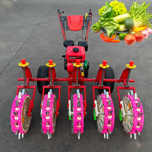 Semoir à légumes autopropulsé <span class=keywords><strong>de</strong></span> type traîné pour plusieurs types <span class=keywords><strong>de</strong></span> légumes : <span class=keywords><strong>tomates</strong></span>, poivrons, laitues – Outil <span class=keywords><strong>de</strong></span> jardinage - Product Image 1