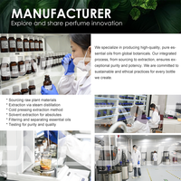 CNUS Vente en gros directe d'usine Huile parfumée pour diffuseur sans eau Recharge de parfum Huile essentielle