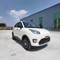 Pour Changli 2025 Mini voiture électrique à quatre roues à moteur élevé pour adultes moteur total manuel 60v carrosserie fermée voiture électrique bon marché