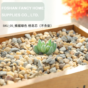 <span class=keywords><strong>Planta</strong></span> Artificial <span class=keywords><strong>de</strong></span> Espinas Mini-<span class=keywords><strong>Cristo</strong></span>, Accesorios para Bonsái, Flores <span class=keywords><strong>de</strong></span> Plástico, Suministros para Manualidades, Accesorios para Fotografía <span class=keywords><strong>de</strong></span> Bodas, Decoración del Hogar - Product Image 3