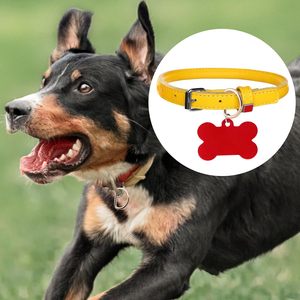 Pcs Mm Metal D Rings For <b>Purse</b> Multifunctional D Shaped Metal Ring Buckle Non Welded Semi Circular DIY Bag Hardware Accessories - Product Image 4