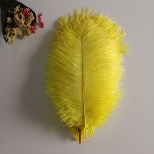 Großhandel Hot Sale 30-35cm Straußen feder Natur Straußen feder Gefärbte Federn für festliche Hochzeits dekorationen Kunst handwerk - Product Image 4