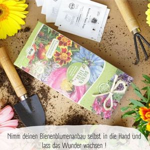 Assortiment <span class=keywords><strong>de</strong></span> légumes biologiques à haute germination-Paquet <span class=keywords><strong>de</strong></span> plantes <span class=keywords><strong>de</strong></span> courgettes <span class=keywords><strong>de</strong></span> style campagnard pour sol ou bureau - Product Image 6