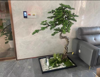 Grand arbre de pin artificiel en fibre de verre - Décoration de jardin durable pour l'intérieur et l'extérieur