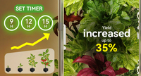 Tour hydroponique à 7 niveaux avec éclairage LED, ferme verticale compacte avec lumière de culture intégrée pour légumes-feuilles et herbes