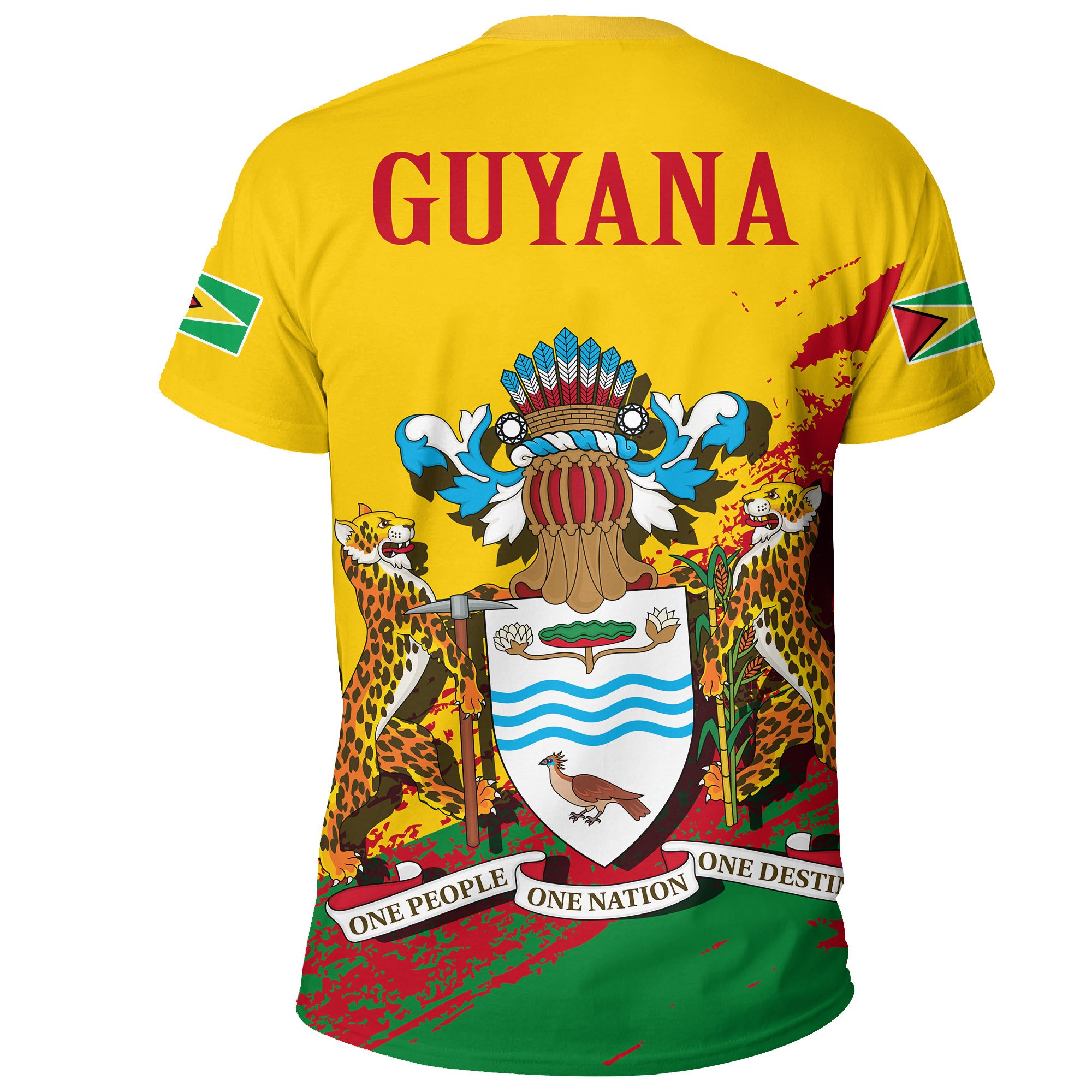 Guyana1