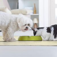 Tapis à gratter pour chat Ziyi, écologique, durable, antidérapant, 100% sisal naturel, avec adhésif pour sol et mur, 23,6 x 15,7 pouces