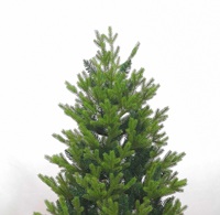 Arbre de Noël Artificiel Réaliste en PE/PVC, Vert Intégral avec Aiguilles Mixtes, pour Décoration de Fêtes (Vente en Gros)