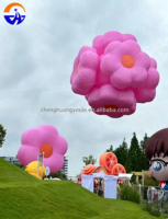 Ballons gonflables personnalisés en forme de fleur Chenghuang 2026, ballons à air chaud avec cœurs, costumes de personnages de dessins animés personnalisés