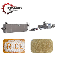 Ligne de production d'extrusion de riz fortifié 200-500 kg/h, équipement de fabrication de riz artificiel