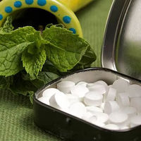 Bulk Oral Health Fresh Cool Mint Tablet Candy Sugar-free Spearmint/Peppermint Breath Mints Bottle Packaged Xylitol 6 Bottles
