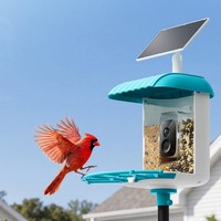 Mangeoire à oiseaux solaire automatique, étanche, grande capacité, bac à graines pour l'extérieur