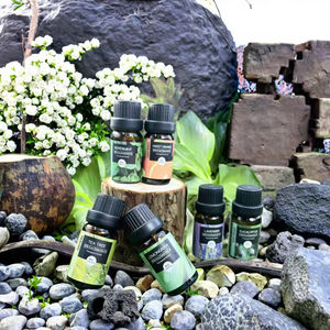 Kit d'huiles essentielles 10 ml, 6 pièces, huiles de massage avec diffuseur corporel, aromathérapie, croissance des cheveux, humidificateur relaxant pour les cheveux et le corps - Product Image 6