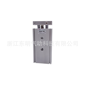 Cylindre pneumatique à double tige Tr25X10x75x100S, corps en aluminium, cylindre standard général pour l'automatisation industrielle - Product Image 3