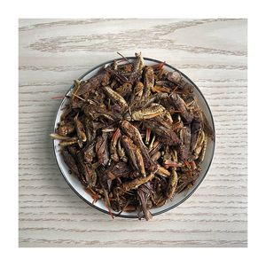 סין ספק אורגני תולעת באג מזון חלבון גבוהה אכיל חרקים מיובש חגב - Product Image 2