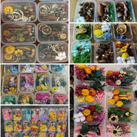 Kit de fleurs séchées mélangées pour loisirs créatifs, rose éternelle, lavande pour la Saint-Valentin, mariage, cadeau de fête, personnalisation en usine
