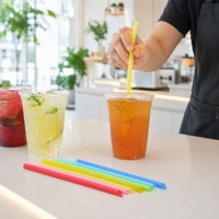 Pailles en PLA compostables certifiées BPI, à embout coudé, pailles standard pour boisson, vente en gros en vrac