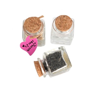 Flacon en verre Transparent de 40ml, petit bouteille à souhait, bocaux en verre, avec bouchon en liège, 10 pièces - Product Image 2