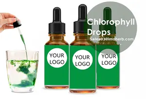 Chlorofyl Drops Private Label Groothandel 60Ml Bulk Watersiroop Organische Veganistische Chlorofyl Vloeibare Druppels