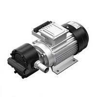 Pompa Gear Industri Listrik Cavitt Factory 750W 380V POM 2800RPM untuk Transfer Cairan Kimia, Air, dan Minyak dengan Viskositas Rendah