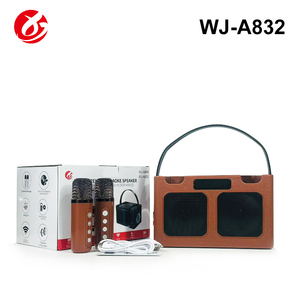 Altoparlante Karaoke Portatile Mini per Bambini con Luce RGB, Due Microfoni Wireless, Audio BT 16W, Batteria per Home Theatre e Canto all'Aperto - Product Image 4