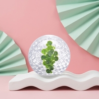 Cica Apaisant Réparateur Hydratation Intense Instantanée Longue Durée Fini Mat Gel Jetable Renforce la Barrière Cutanée