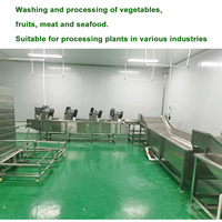 Automatische Groente Fruit Bevroren Molokhia Machine Bevroren Molokhia Verwerkingslijn