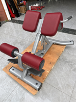 Chaise romaine professionnelle SK-L39 pour hyperextension du bas du dos, idéale pour les acheteurs de centres de fitness, hôtels, studios et clubs sportifs