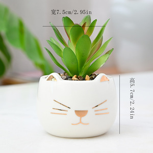 セラミックかわいいペット猫ミニ漫画フラワーポット多肉植物用屋内装飾アクセサリー卸売り植物なし - Product Image 4