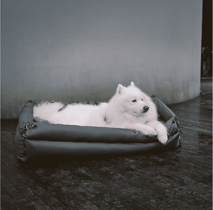 Asiento de coche grande personalizado para perros, cama de lujo con patrón sólido, refuerzo de Metal, asiento trasero para mascotas, funda de viaje, productos de diseño para perros - Product Image 3