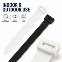 Attache-câble robuste en nylon pour chantier, certifiée CE, écologique, en matériau PA66 vierge à 100 %, capacité de charge élevée de 250 lb