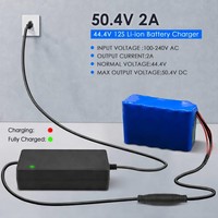 Chargeur de batterie Li-ion 50,4 V 2 A pour packs de batteries au lithium 12S 44,4 V, tondeuse à gazon sans fil, chargeur de batterie au lithium 50,4 V 2 A
