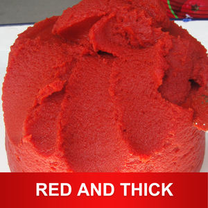 उच्च गुणवत्ता वाले 70 ग्राम डिब्बाबंद टमाटर पेस्ट 28-30% एकाग्रता केचअप आपूर्तिकर्ता - Product Image 4