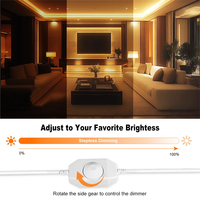 Contrôleur LED ESann pour bande LED monocolore DC 12V 24V SMD COB avec prise USB DC