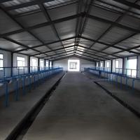 Structure en acier pour étable à vaches, bâtiment agricole préfabriqué en acier, écurie de chevaux, conception d'étable à vaches, structure en acier pour étable à vaches