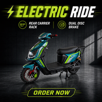 Sepeda Listrik Motor Hub Brushless Gaya Paige Grosir Pabrik Harga Murah Sepeda Listrik Komuter Kota Motor Besar Pria