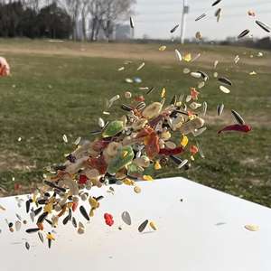 Premium Natural Parrot Food Wholesale Freeze Dried Fruit Bird <strong>Seed</strong> Mix for <strong>Budgies</strong> Cockatiels African Grey Macaw OEM Factory - Product Image 4