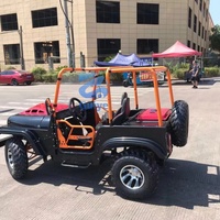 Mini Jeep de haute qualité, standard export, résistant aux intempéries, 300 cc, véhicule tout-terrain pour toutes les saisons, couleur personnalisée