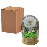 Fleurs de pissenlit naturelles, véritables, éternelles, préservées, faites à la main, modernes, pour la décoration de la maison, avec boîtes cadeaux pour la Saint-Valentin