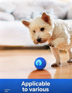 Pelota Eléctrica Gravitacional para Perros y Gatos - Resistente a Mordidas, Plástico Relajante GQ-0010, Juguete Inteligente para Perros - Product Image 5