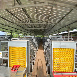 Système de cages automatiques pour poules pondeuses, cages en batterie de type A en maille pour l'élevage avicole, en acier galvanisé à chaud, longue durée de vie - Product Image 1