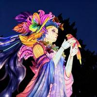 Lampu Peri Hutan Festival Thanksgiving Instalasi Seni Dekoratif LED Luar Ruangan Laris Manis