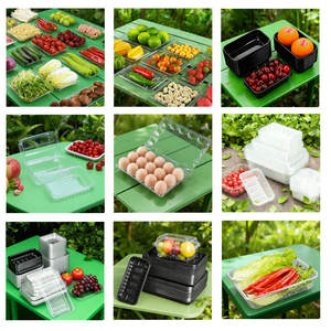 Macchina Termoformatrice Personalizzata Affidabile per la Produzione di Scatole per Frutta, Scatole per Biscotti in Plastica e Coperchi per Bicchieri in Plastica - Product Image 6