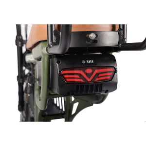 Bicicleta Eléctrica Todoterreno Barata de 20 Pulgadas y 1000W con Neumáticos Gruesos, Suspensión, para Playa, Crucero, Todo Terreno, E-Bike ATV08-1, Super Fat T - Product Image 6